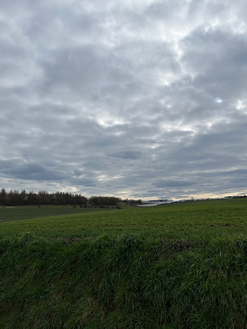walking near me in Skulpturenpark in winter