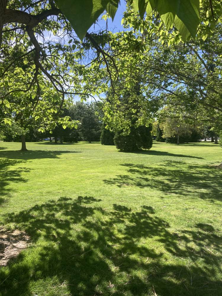 walking near me in Veterans Memorial Park in summer