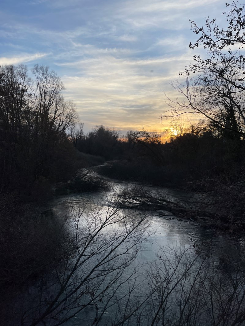 walking near me in Parco del Seminario in winter