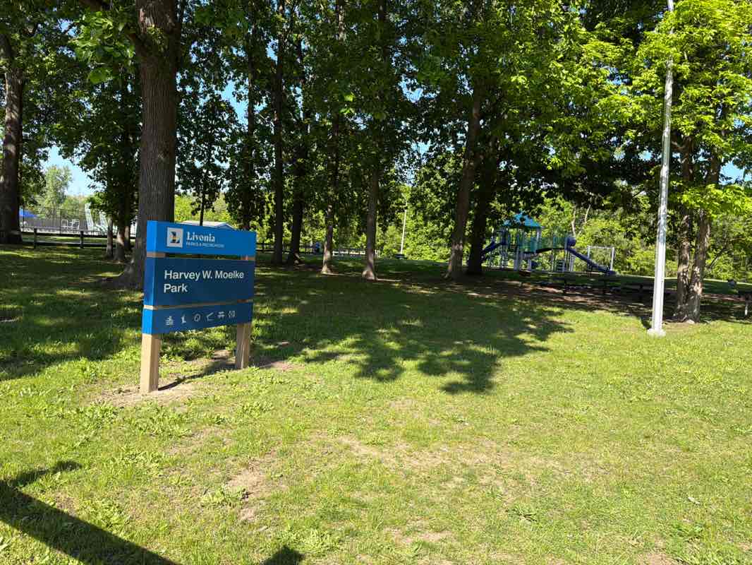 walking near me in Moelke Park in summer