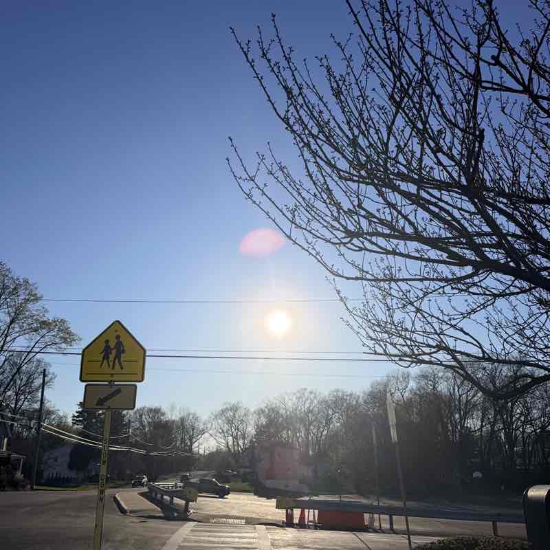 Friends and Family Sue T post image