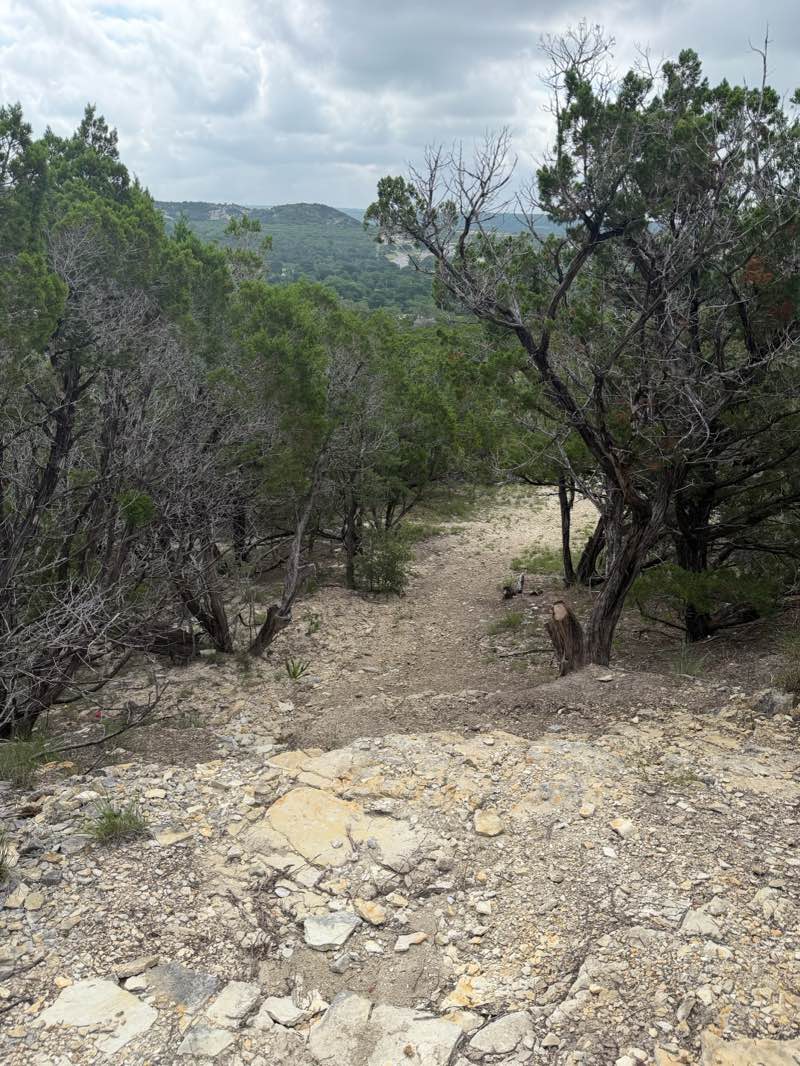 walking near me in Singing Wind Park in summer