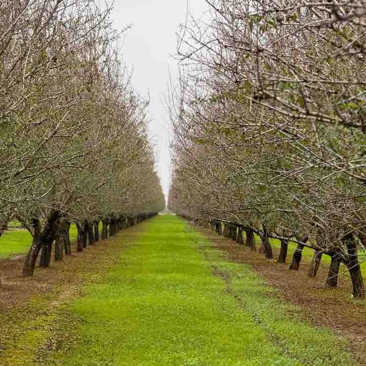 🖤🤍mama bear🤍🖤 post 2