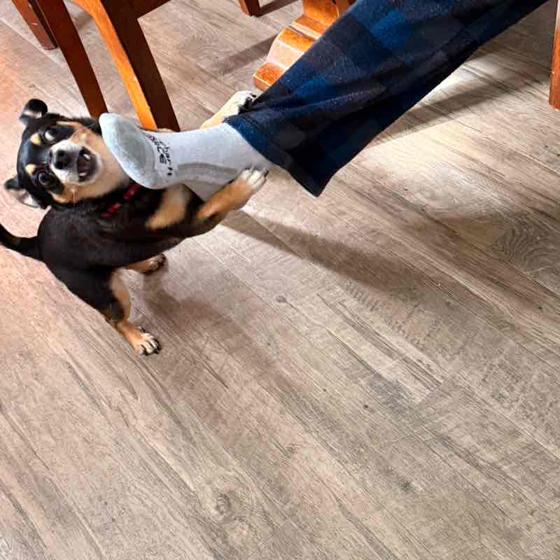 🖤🤍mama bear🤍🖤 post 2