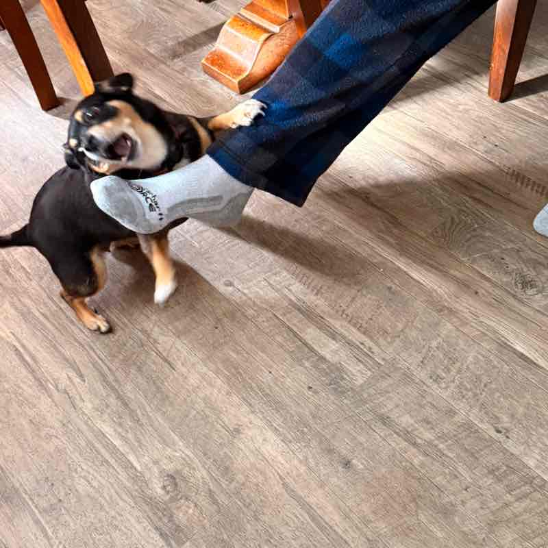 🖤🤍mama bear🤍🖤 post 3