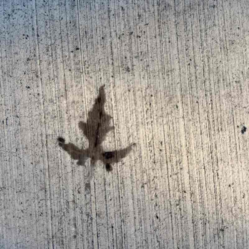 🖤🤍mama bear🤍🖤 post 3