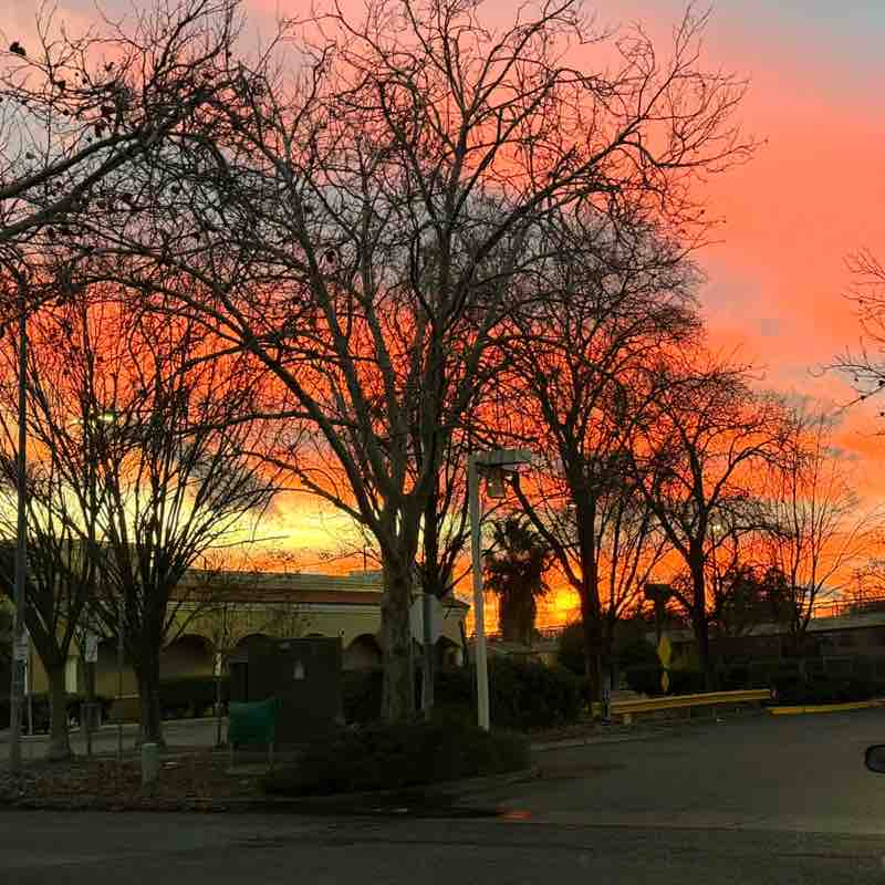 🖤🤍mama bear🤍🖤 post 2