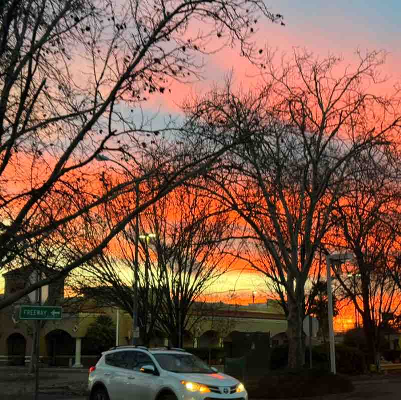 🖤🤍mama bear🤍🖤 post 3