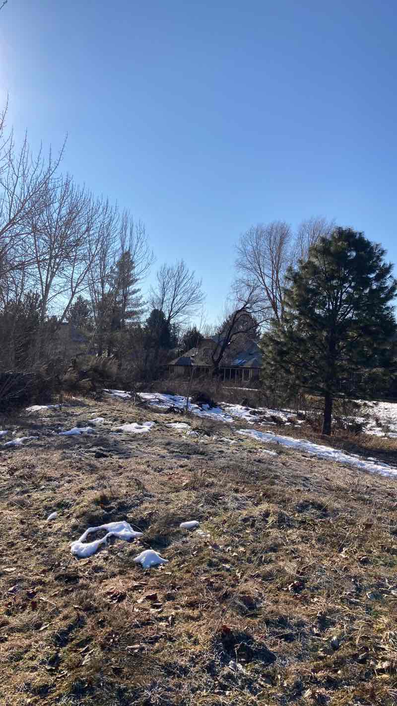 walking near me in Barber Park in winter