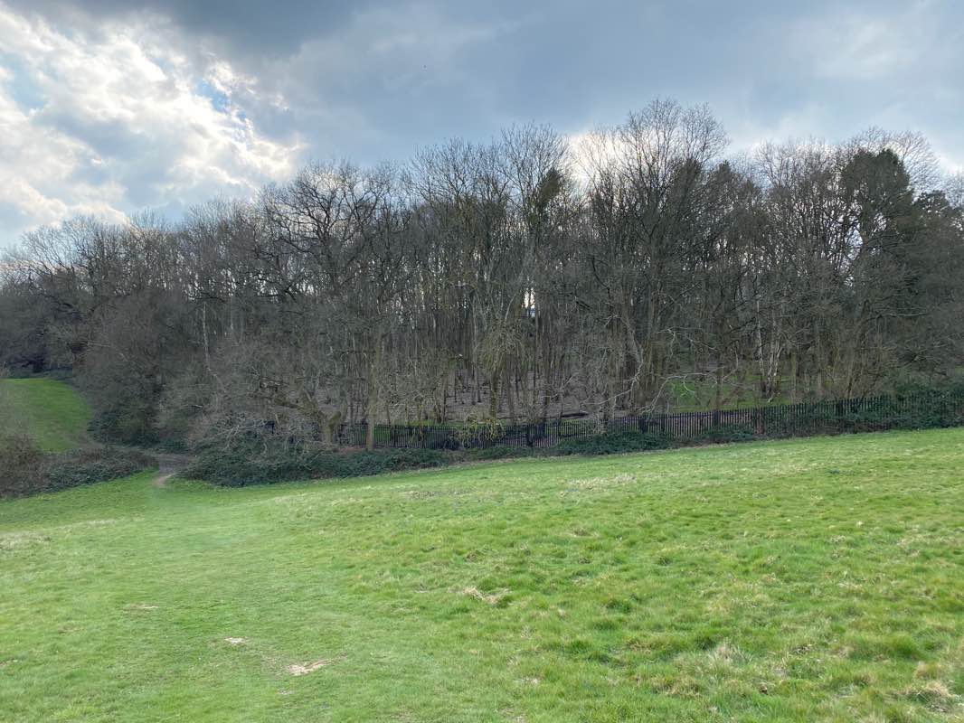 walking near me in Runnymede in winter