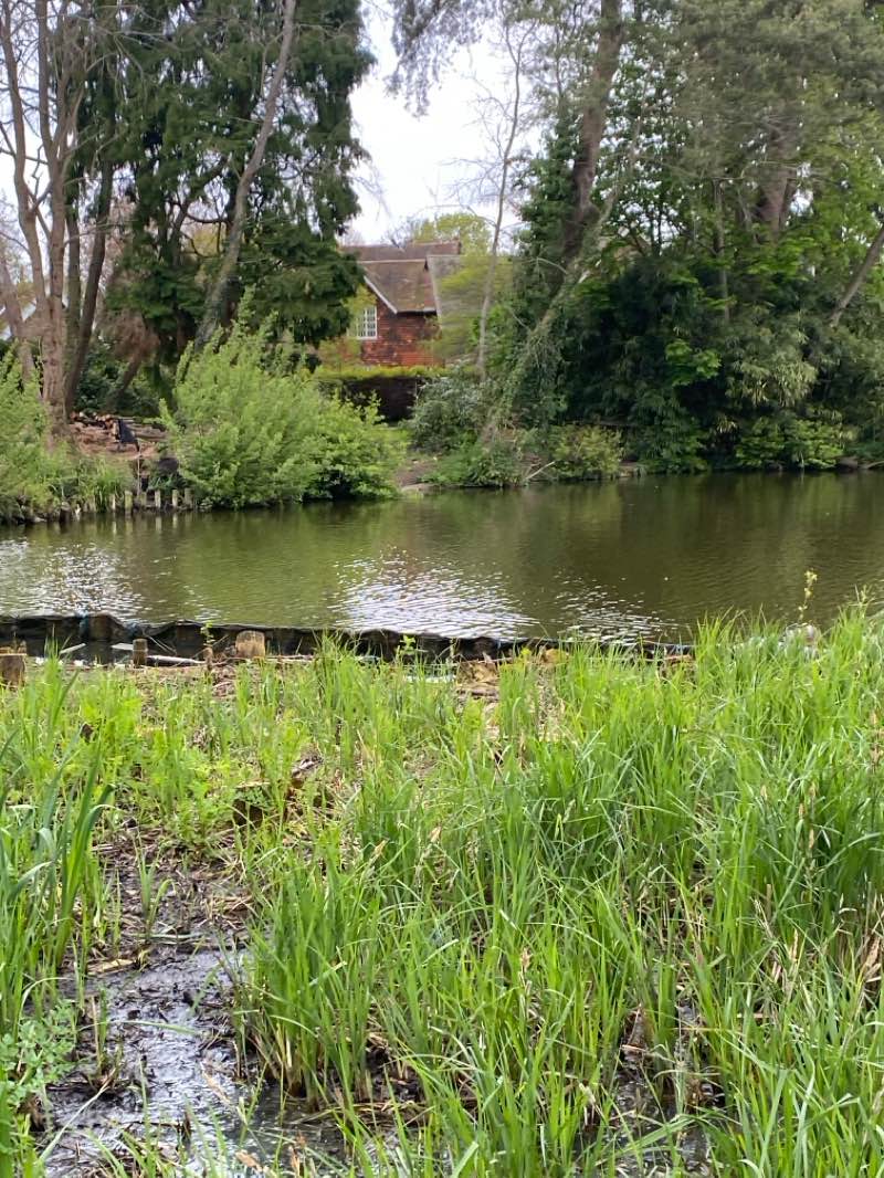 walking near me in Broadwater Park in winter