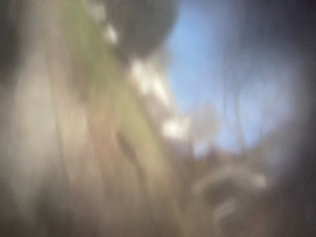 walking near me in Dardenne Park in winter