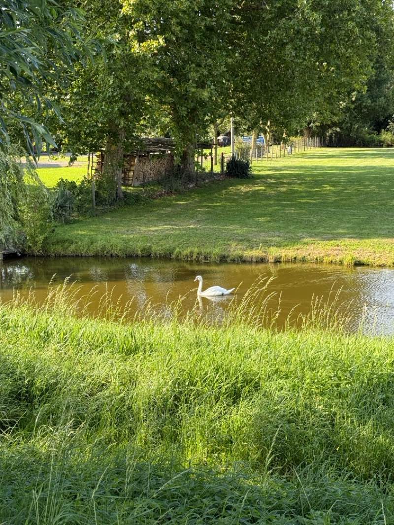 walking near me in Sportpark 't Loopveld in autumn