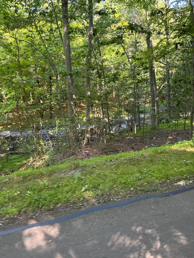 walking near me in Garrison Park in summer