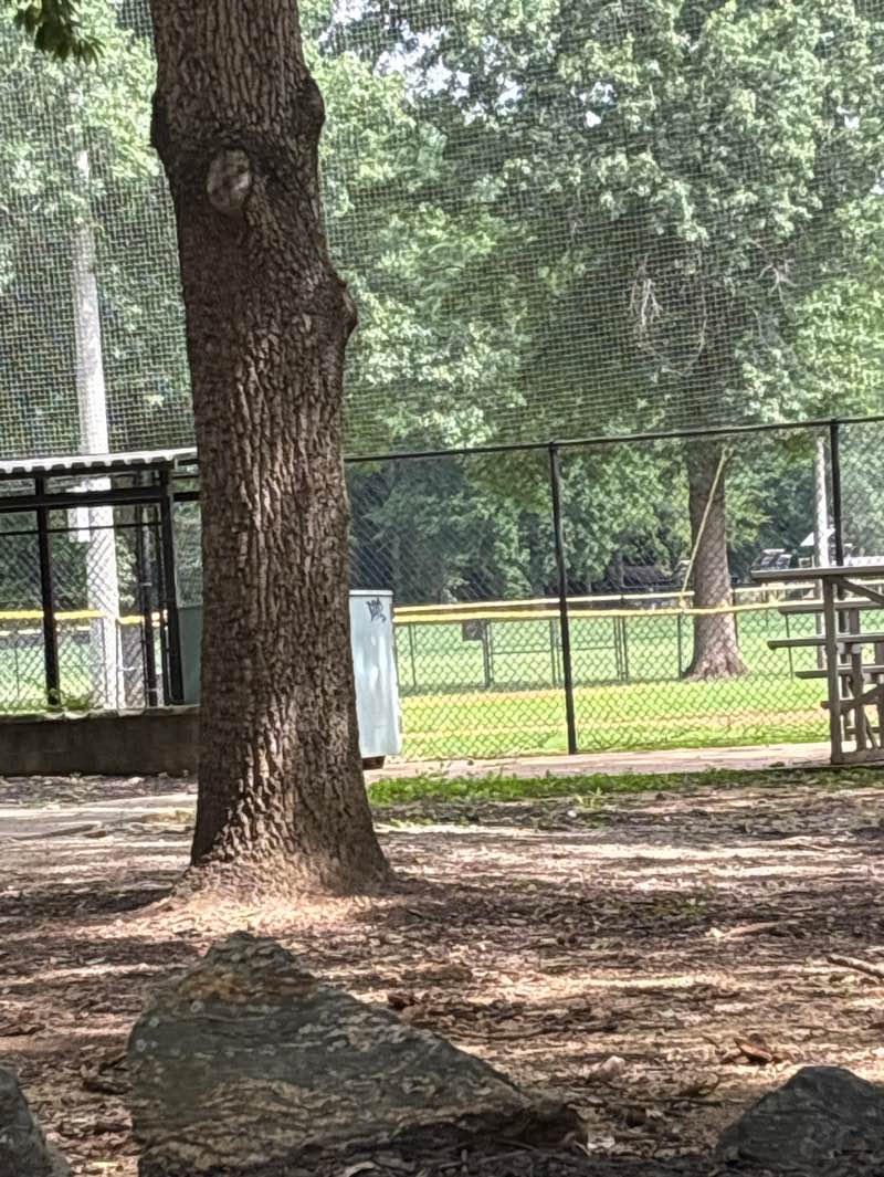 walking near me in Belvedere Park in summer