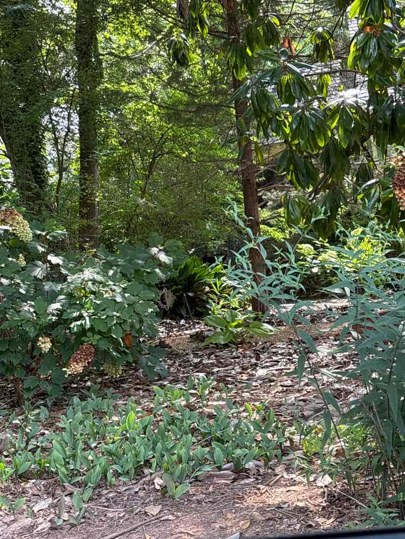 walking near me in Sugar Creek Garden in summer