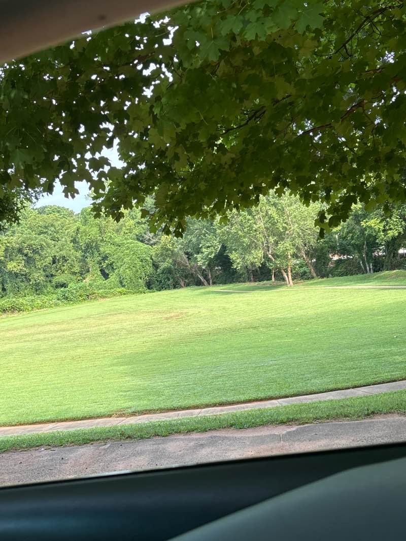 walking near me in Glenwood Hills Park in summer