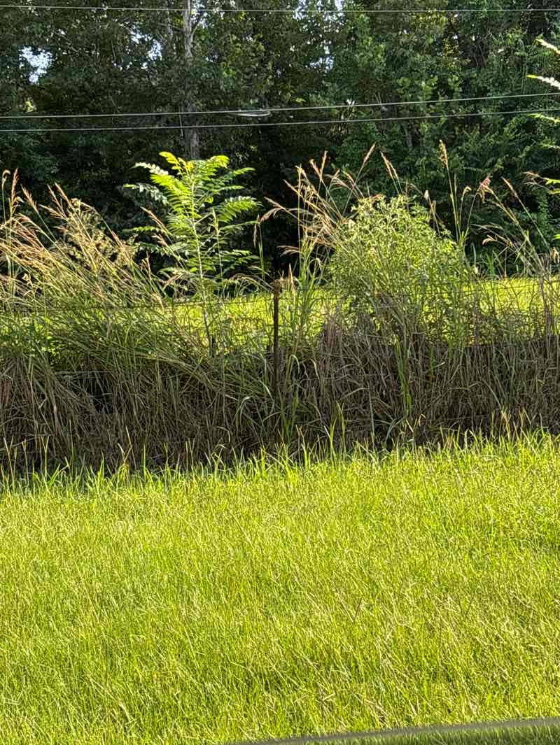 walking near me in Old Highway 41 #1 Day-Use Area in summer