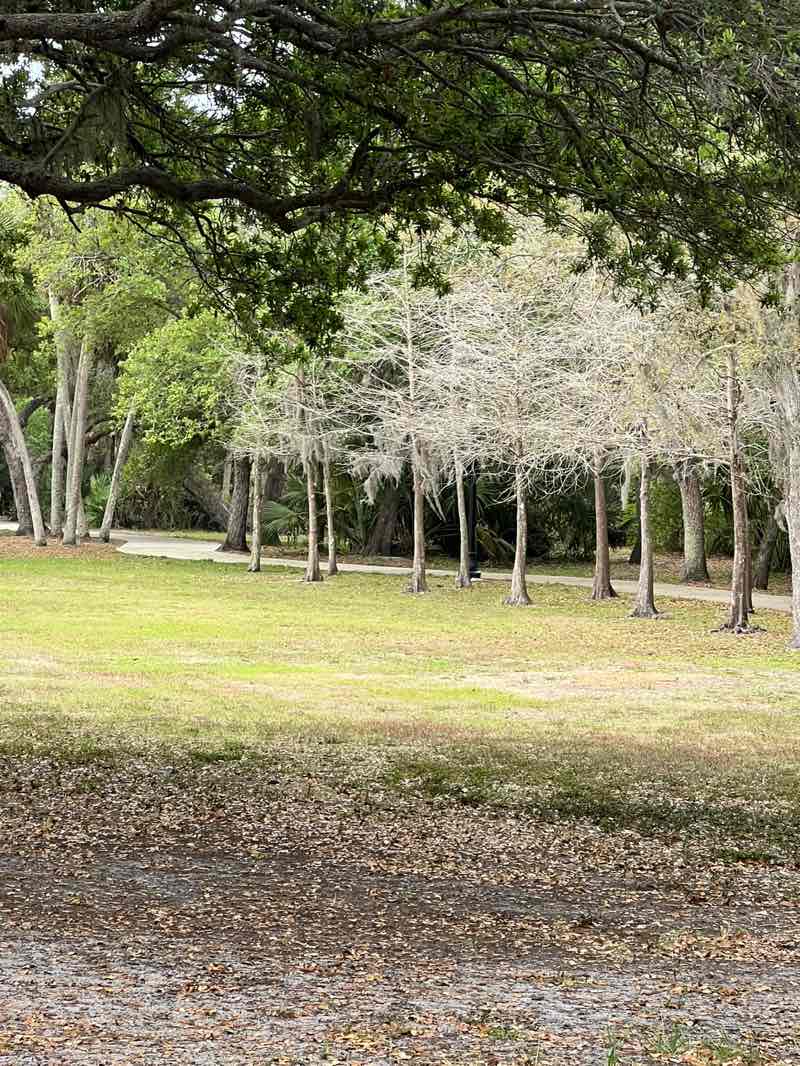 walking near me in Water Tower Park in spring