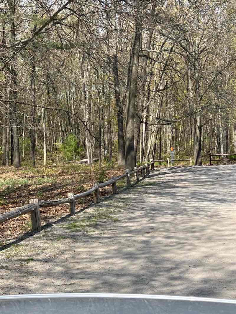 walking near me in Pickerel Lake Park in spring