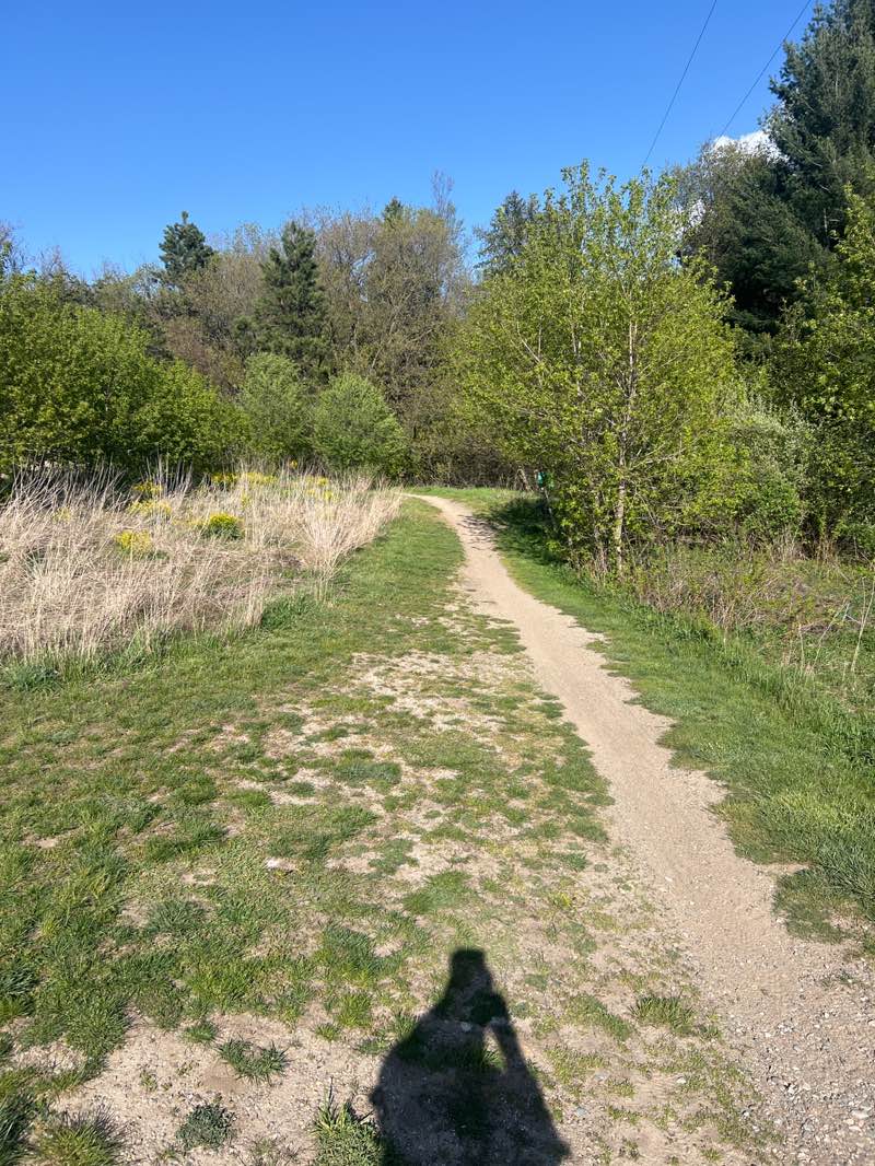 walking near me in Luton Park in spring