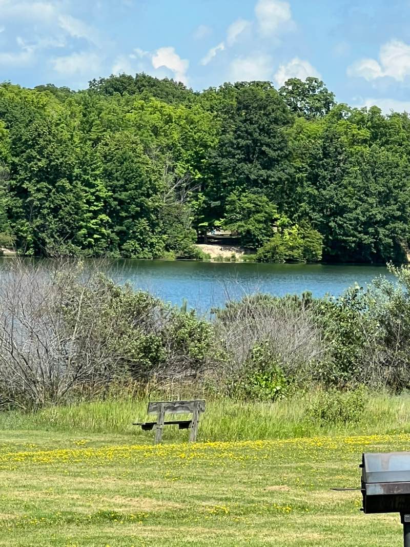walking near me in Ionia State Recreation Area in summer