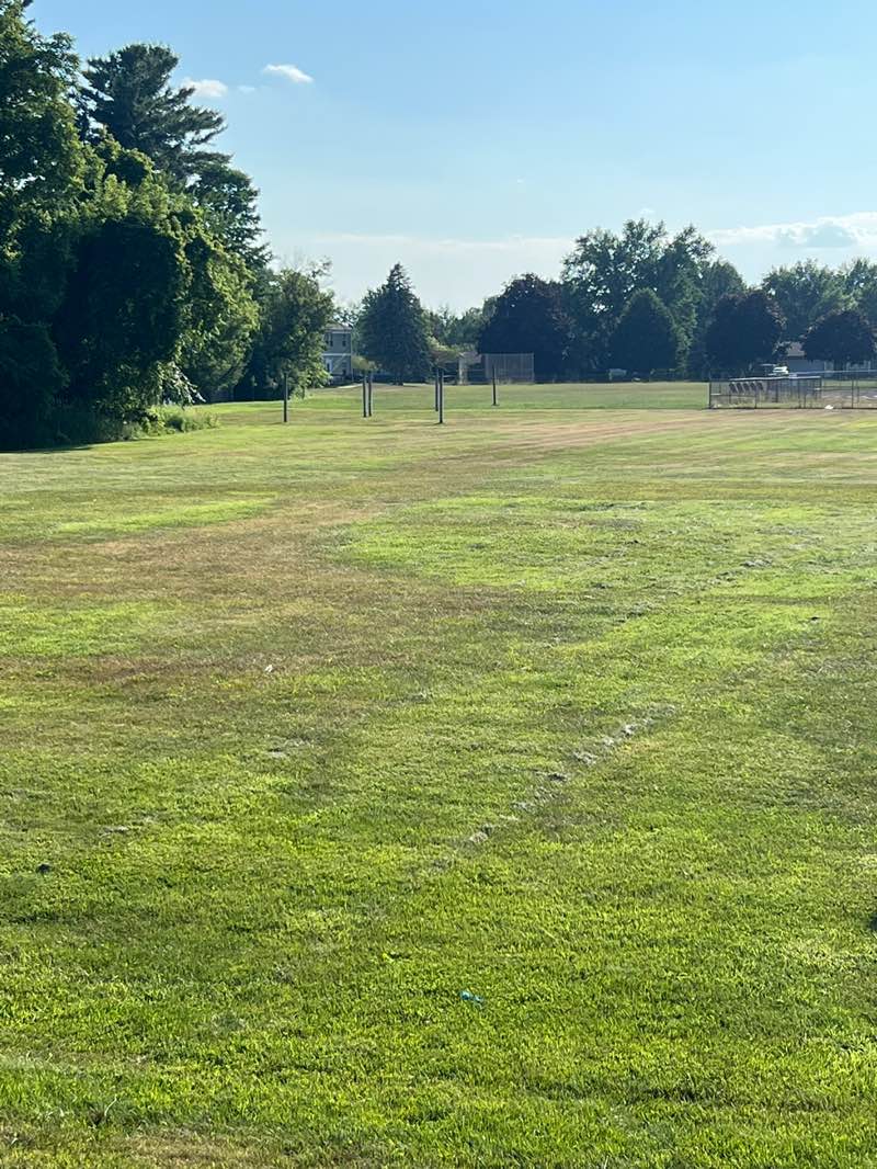 walking near me in Morley Park in summer