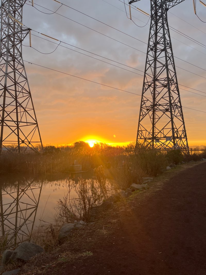 walking near me in Richard W. DeKorte Park in winter