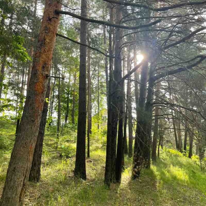 Ольчик📍 post 1