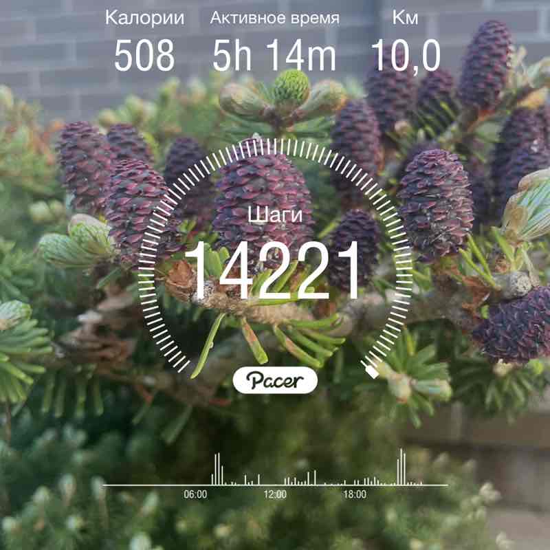 Ольчик📍 post 1