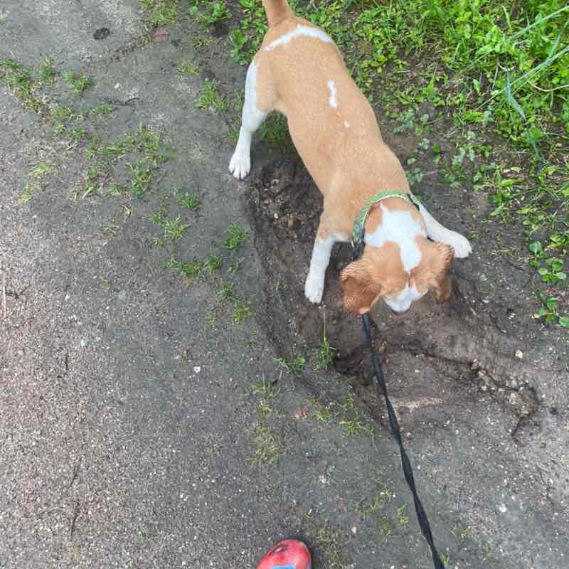 Ольчик📍 post 3