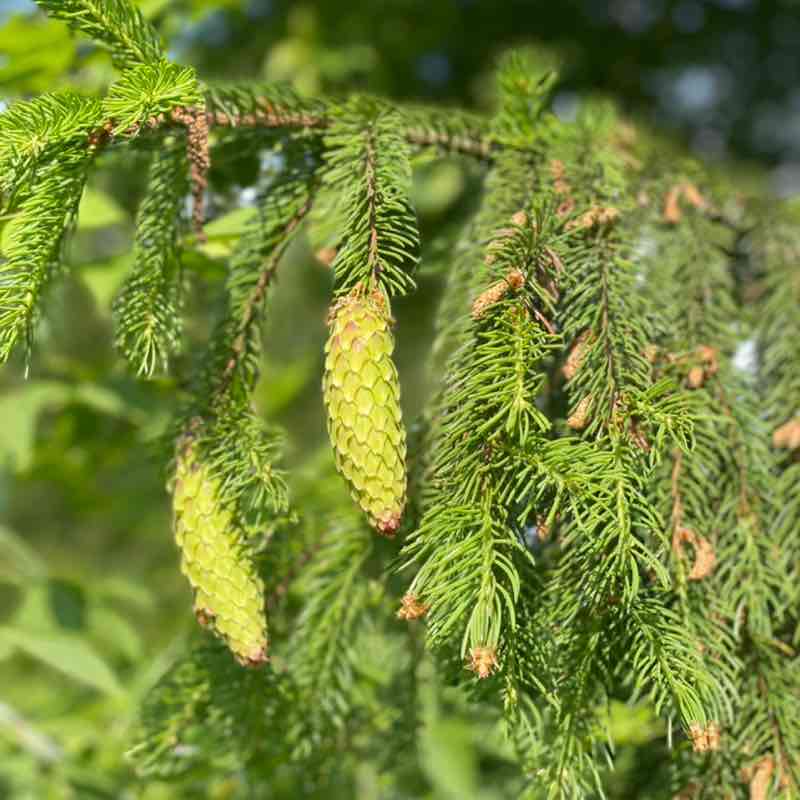 Ольчик📍 post 2