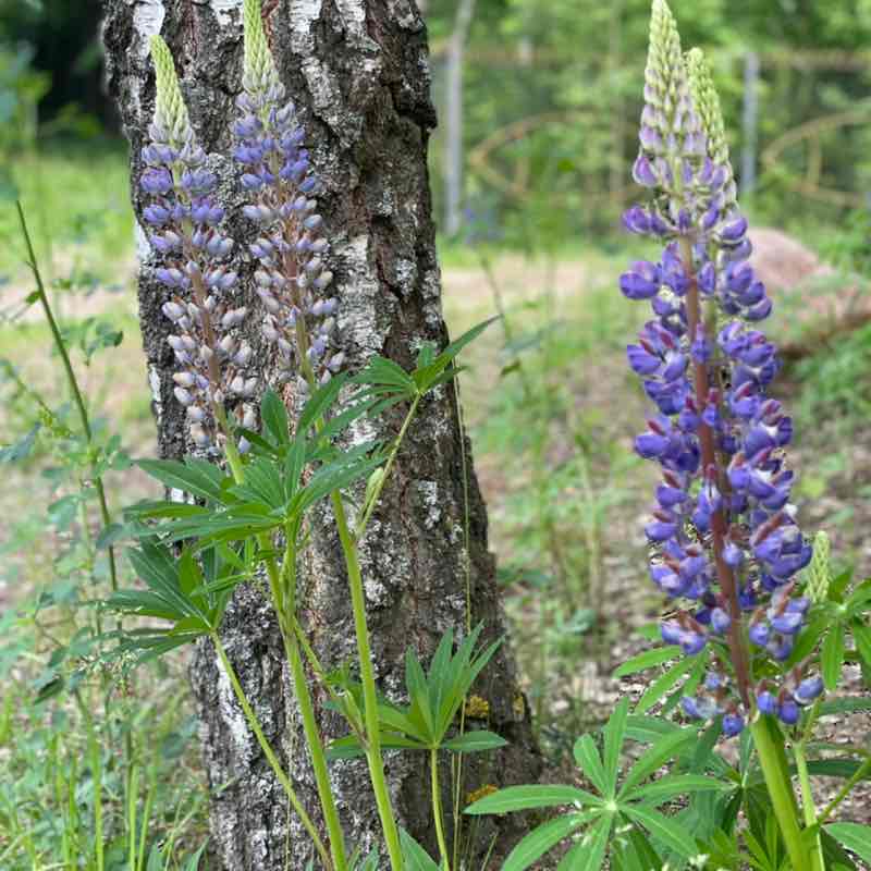 Ольчик📍 post 3