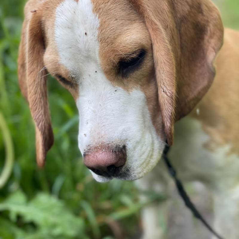 Ольчик📍 post 1