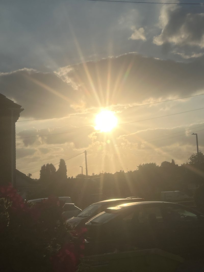 walking near me in King George VI Park in spring