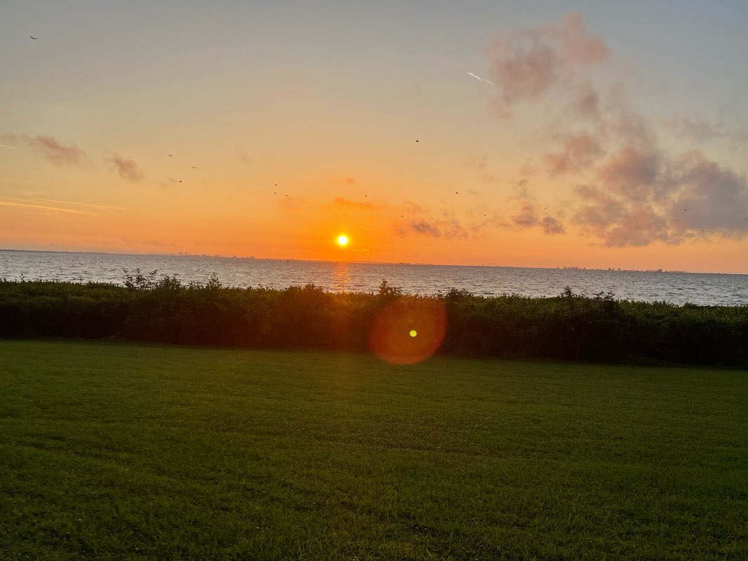 walking near me in Safety Harbor Waterfront Park in winter