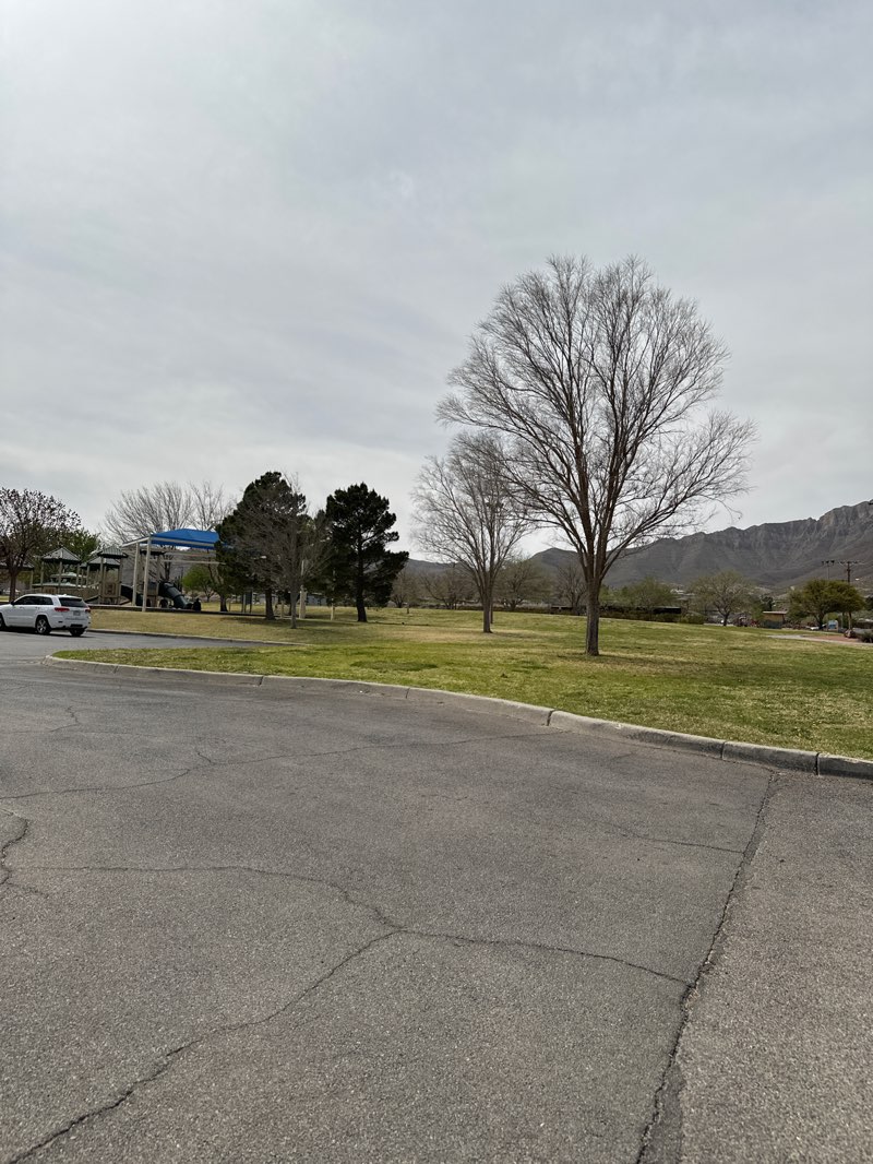 walking near me in Sunrise Park in spring