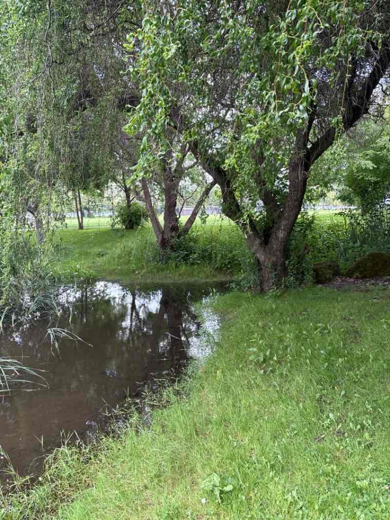 walking near me in Rincon Valley Community Park in spring