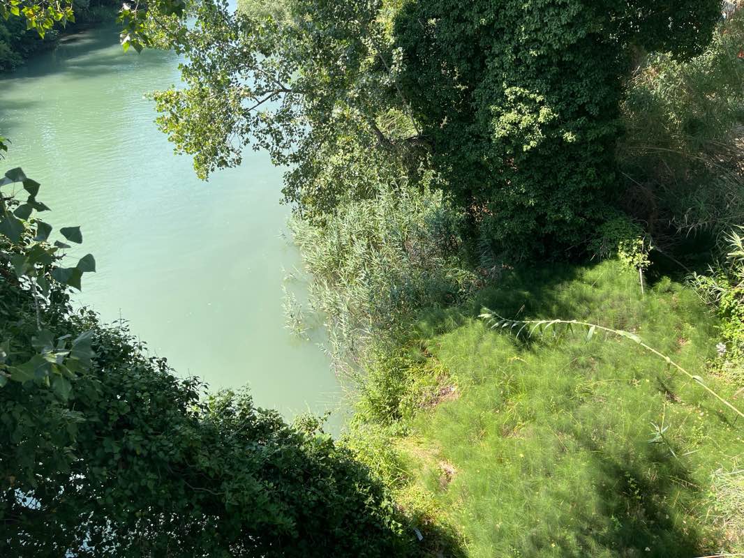 walking near me in Parco dello sport in winter