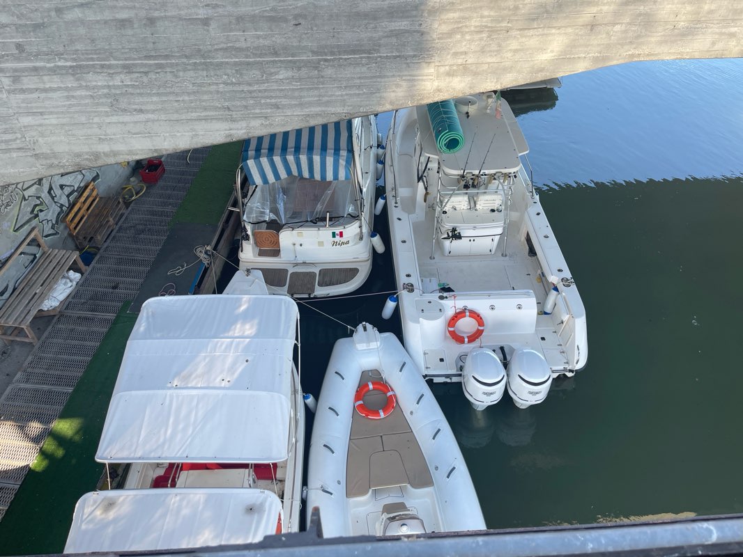 walking near me in Parco della Pace in winter