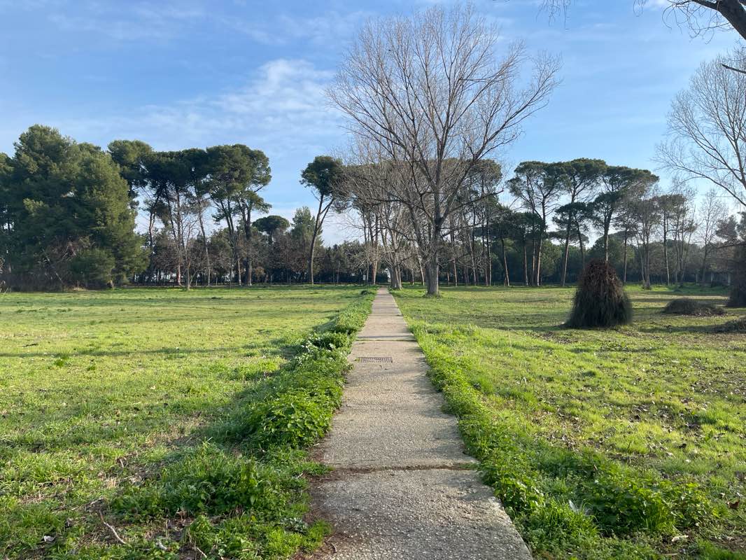 walking near me in Parco Pubblico Robert Baden Powell in winter