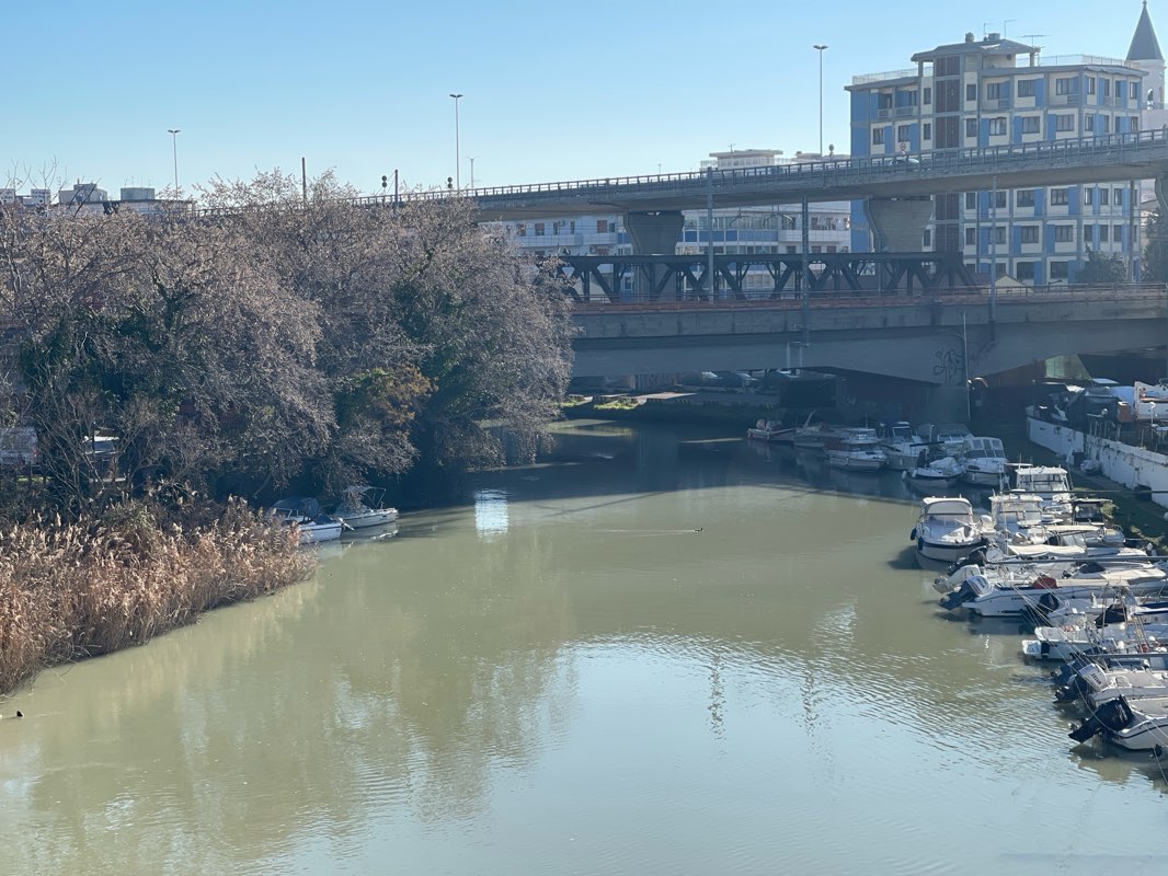 walking near me in Parco Giovanni Falcone e Paolo Borsellino in spring
