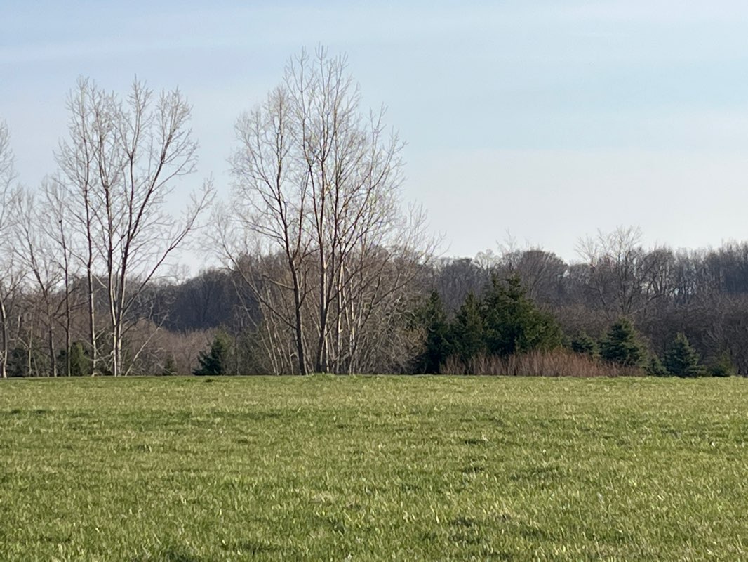 walking near me in Prairie Wolf Park in winter