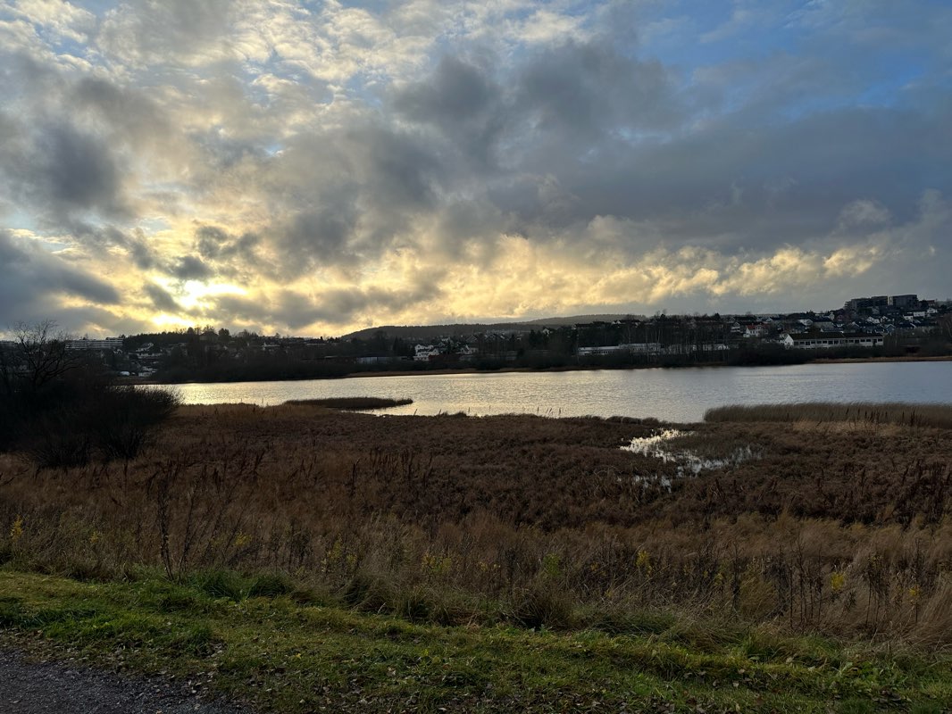 walking near me in Rådhusparken in autumn