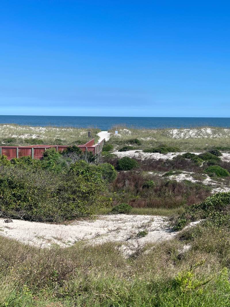 walking near me in Burney Park in autumn