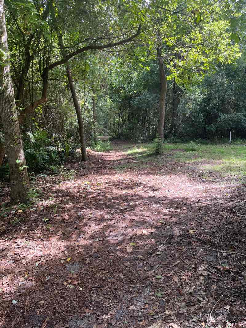 walking near me in Clarke House Park in autumn