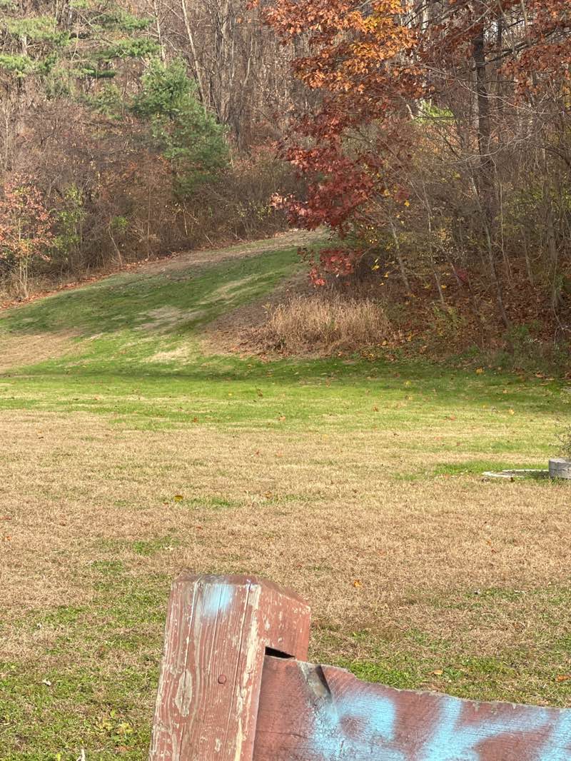 walking near me in Linnett Park in autumn