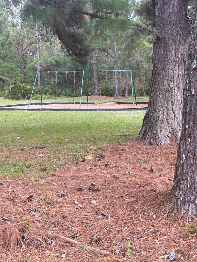 walking near me in Worthington Oaks Park in autumn