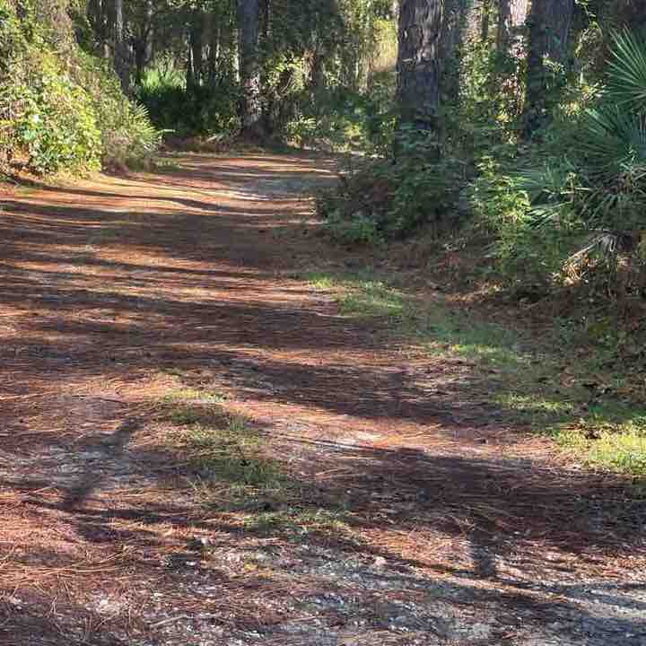 Momentum Neighbors Duval Aminah post image