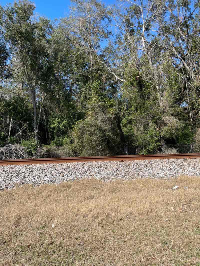 walking near me in Orange Park Station in winter